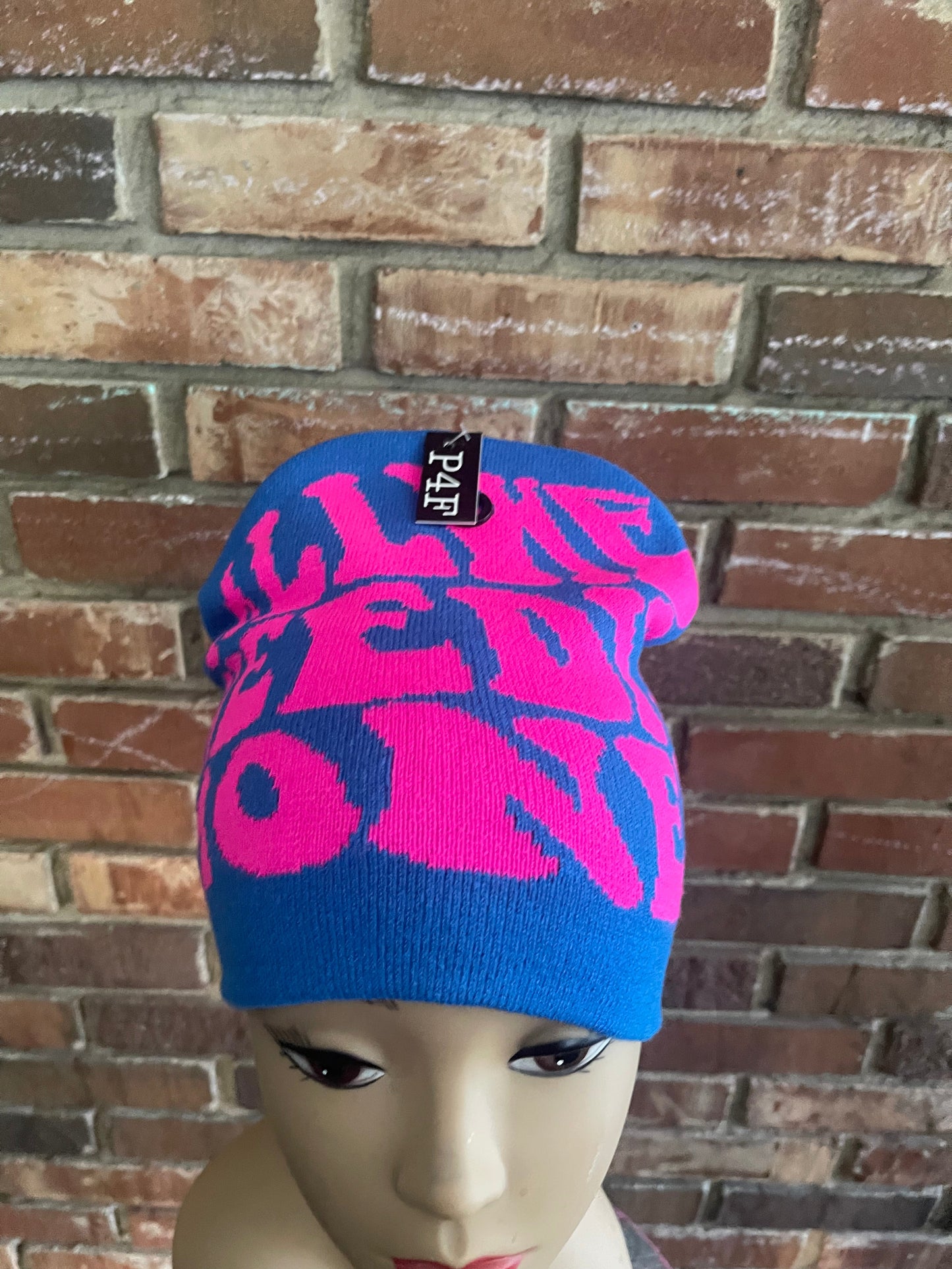 All We Need Is Money Beanie Hat