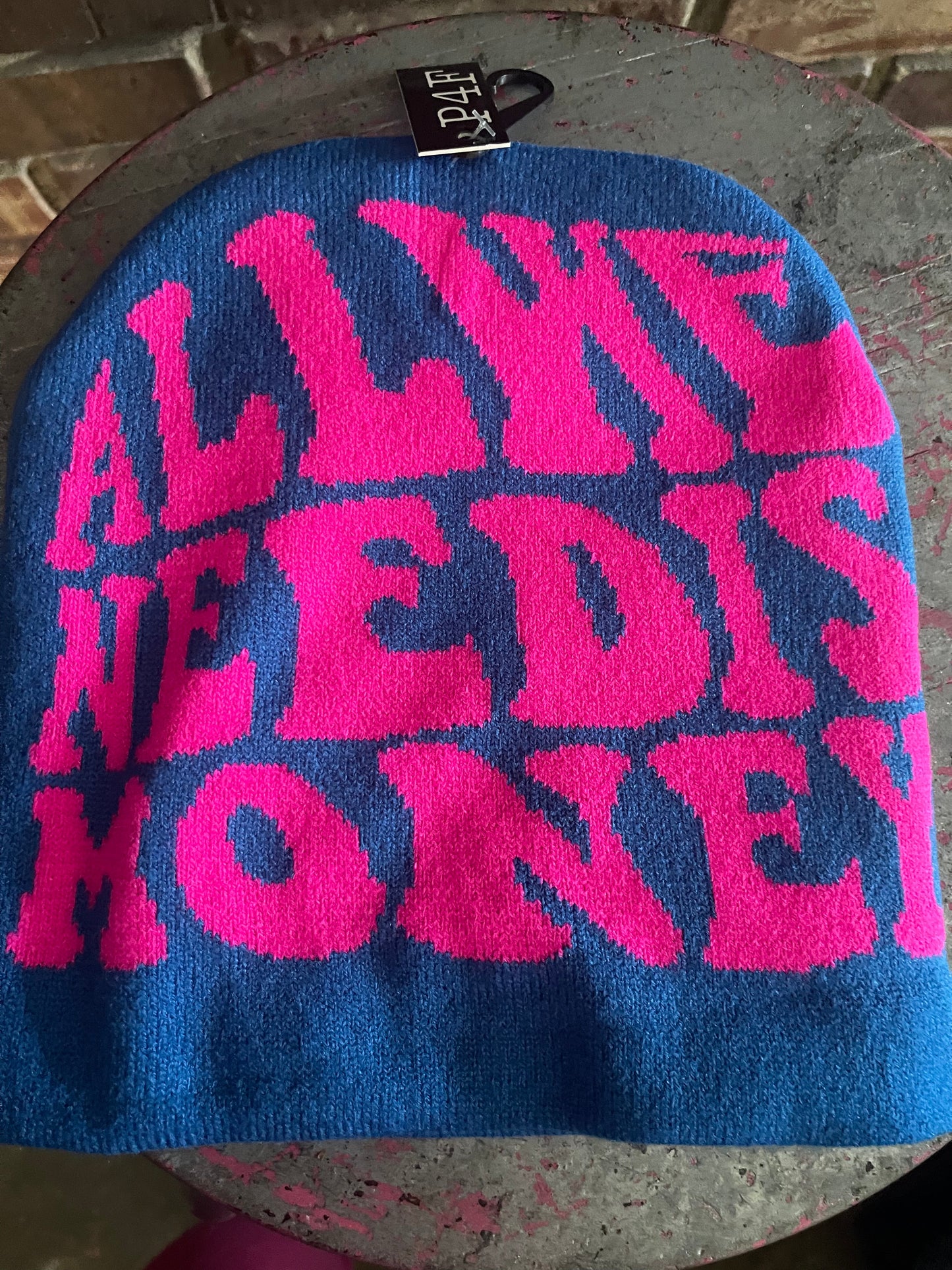 All We Need Is Money Beanie Hat